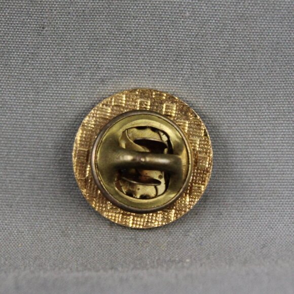 Vintage Hockey Pin - AHL 50th Anniversary - Inlaid Pin - Picture 2 of 3